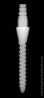 Radiograph of Nano 2