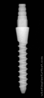Radiograph of Nano 2