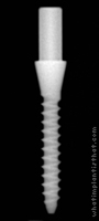Radiograph of Nano