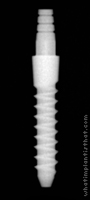 Radiograph of Nano 2
