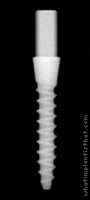 Radiograph of Nano
