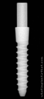 Radiograph of Nano