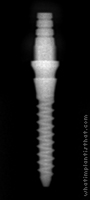 Radiograph of Nano 3