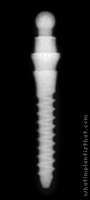 Radiograph of Nano 2 OVD