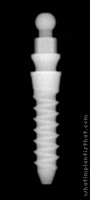 Radiograph of Nano 2 OVD
