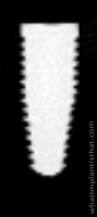Radiograph of Neodent Zirconia