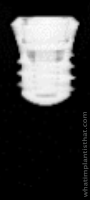 Radiograph of Standard Plus RN
