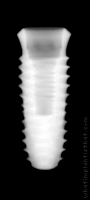 Radiograph of INNO Internal