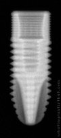 Radiograph of InHex Standard