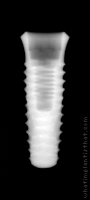 Radiograph of INNO Internal