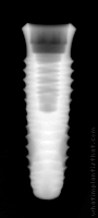 Radiograph of INNO Internal