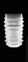 Radiograph of INNO Submerged