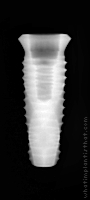 Radiograph of INNO Internal
