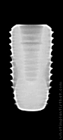 Radiograph of INNO Submerged
