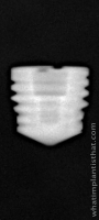 Radiograph of Titamax WS Medular