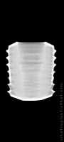 Radiograph of INNO Submerged