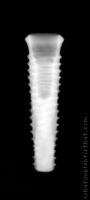 Radiograph of INNO Internal