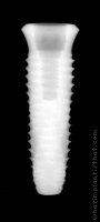 Radiograph of INNO Internal