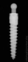 Radiograph of One-Piece Tapered (SB)