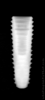 Radiograph of INNO Submerged