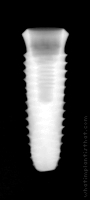 Radiograph of INNO Internal