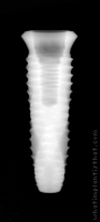 Radiograph of INNO Internal