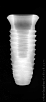 Radiograph of INNO Internal