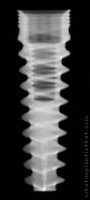 Radiograph of Shark