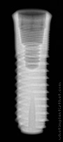 Radiograph of Aesthetica+2