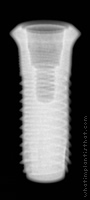 Radiograph of Aesthetica+2