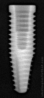 Radiograph of Alvim CM