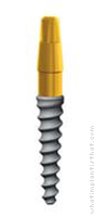 Radiograph of ARRP