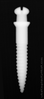 Radiograph of Atlas