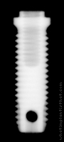 Radiograph of Branemark Mk I