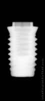 Radiograph of Branemark Mk IV WP