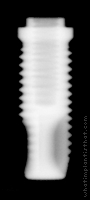 Radiograph of Branemark MkII Self-tapping