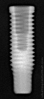 Radiograph of CM Cortical Titamax
