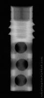 Radiograph of Core-Vent