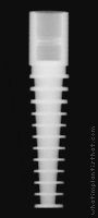 Radiograph of D Form