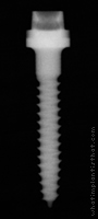 Radiograph of ERA Mini Dental Implants one-piece