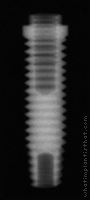 Radiograph of Entegra Screw