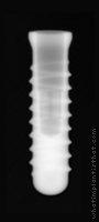 Radiograph of Exacone