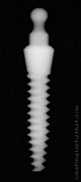 Radiograph of I-Mini