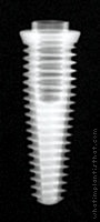 Radiograph of External Hex (Tapered)