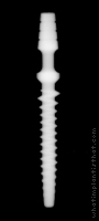 Radiograph of Immediate Provisional Implant