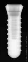 Radiograph of Internal Taper (Regular Platform)