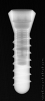 Radiograph of Internal Taper (Regular Platform)
