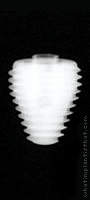 Radiograph of External Hex (Max)