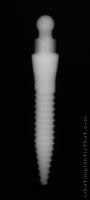 Radiograph of MOR