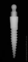 Radiograph of MOR
